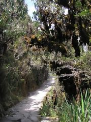 Trilha Inca